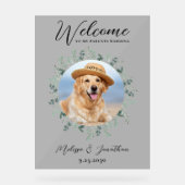 Mariage animal de compagnie Bienvenue photo de chi (Recto)