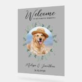 Mariage animal de compagnie Bienvenue photo de chi (Angle)