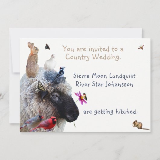 Mariage campagnard ou Fiançailles : invitations (Devant)