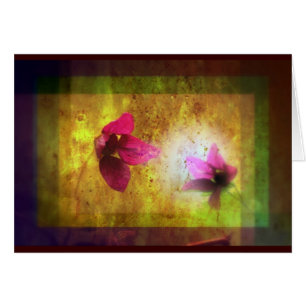 mariage de Titania ; Duo floral de baie saumonée