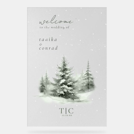 Mariage d'hiver rustique Bienvenue Forêt verte ID1 (Recto)