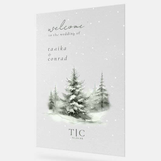 Mariage d'hiver rustique Bienvenue Forêt verte ID1 (Angle)