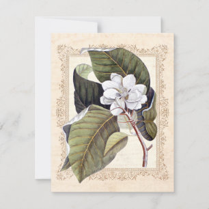 Mariage du Sud au Magnolia Blanc Save the Date