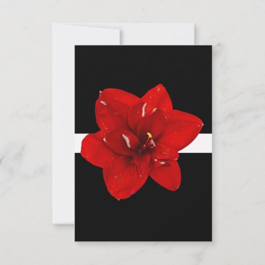 Mariage en or Red Amaryllis RSVP (Dos)