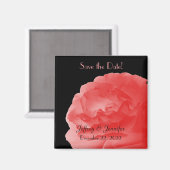 Mariage Enregistrer la date Rose de corail Magnet (Recto/Verso)
