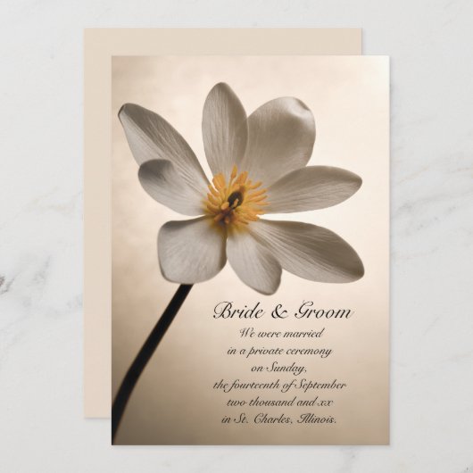 Mariage Fleur sauvage blanc / Faire-part d'Elopeme (Devant / Derrière)