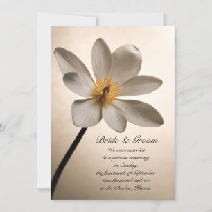 Mariage Fleur sauvage blanc / Faire-part d'Elopeme