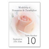 Mariage Numéro de table Peach rose Rosebud (Dos)