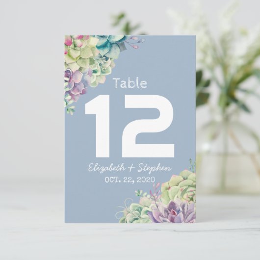 Mariage Numéro de table Siège Lieu Plante Succulen (Debout devant)