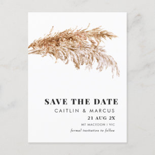 Mariage Pampas moderne Enregistrer la date Carte p