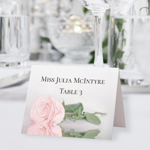 Mariage rose vierge do-it-yourself carte de place