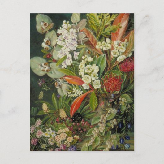Marianne Noord botanische schilderij Briefkaart (Voorkant)