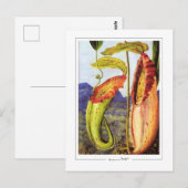 Marianne North #1 - Carte postale d'art (Devant / Derrière)