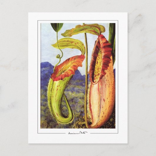 Marianne North #1 - Carte postale d'art (Devant)