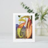 Marianne North #1 - Fine Art Briefkaart (Staand voorkant)