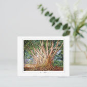 Marianne North #5 - Carte postale Art (Debout devant)