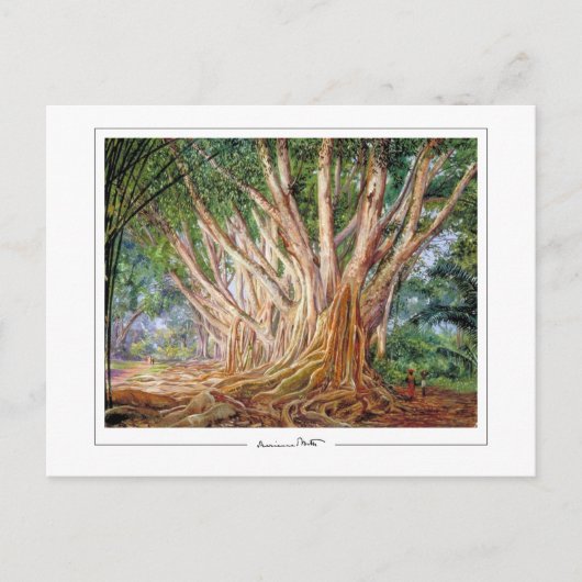 Marianne North #5 - Carte postale Art (Devant)