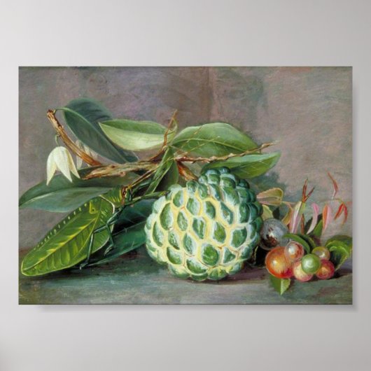 Marianne North - Custard Apple Art Poster (Voorkant)