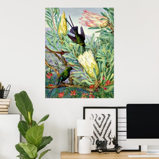 Marianne North - Honeyflower en Honeysuckers Poster (Thuiskantoor)