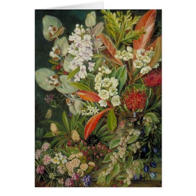 Marianne North Peinture botanique (Devant)