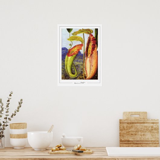 Marianne North Zedign Art Poster #1 (Keuken)