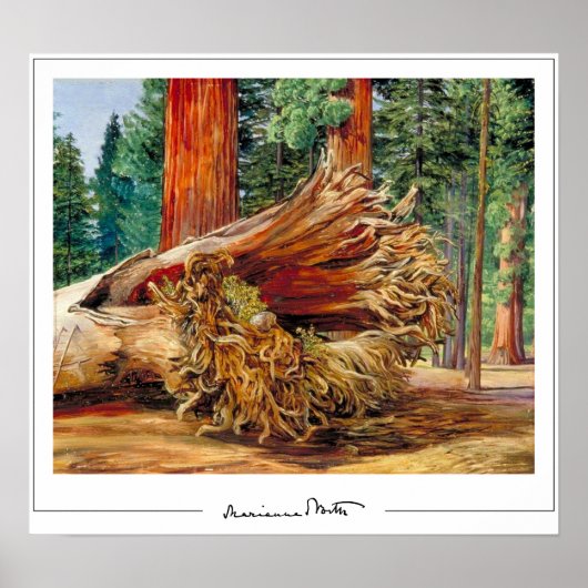 Marianne North Zedign Art Poster #7 (Voorkant)