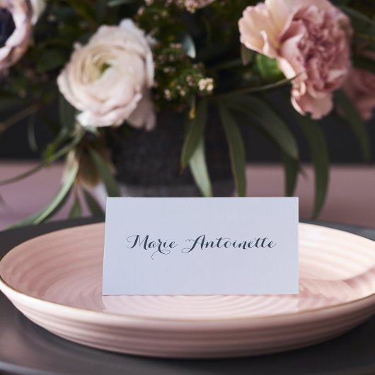 Marie Antoinette Bruiloft Rococo Dusty Blue