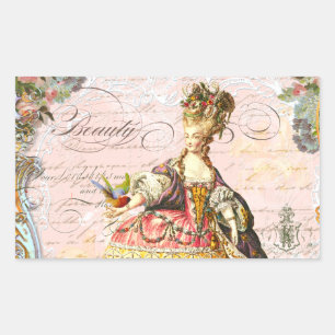 Marie Antoinette Paris Roze Rozen Rechthoekige Sticker
