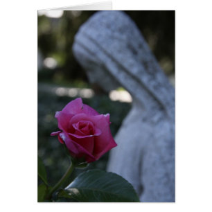Marie bénie et la Rose