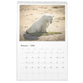 Marie Cardona - Le Jeune Prince - Calendrier 2022 (Feb 2026)