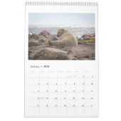 Marie Cardona - Le Jeune Prince - Calendrier 2022 (Jan 2026)