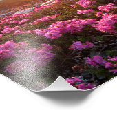 Marie Lakes Sunrise 2 - John Muir Trail - Sierra Foto Afdruk (Hoek)