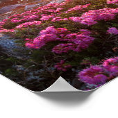 Marie Lakes Sunrise - John Muir Trail - Sierra Poster (Hoek)