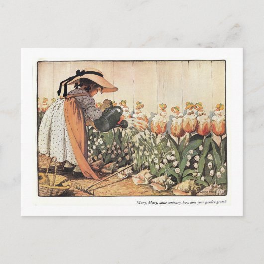 Marie, Marie, tout à fait contraire Carte postale (Devant)