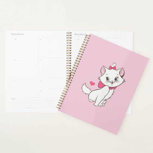 Marie Planner (Devant avec enveloppe)