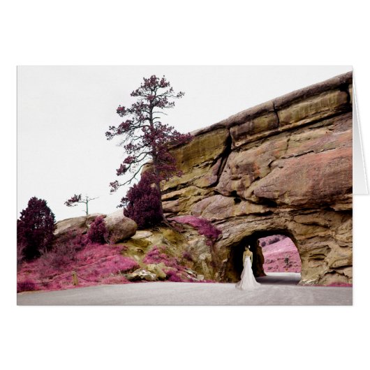 mariée pittoresque : élégant tunnel (Devant horizontal)