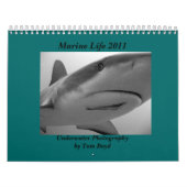 Marien leven 2011 kalender (Hoes)