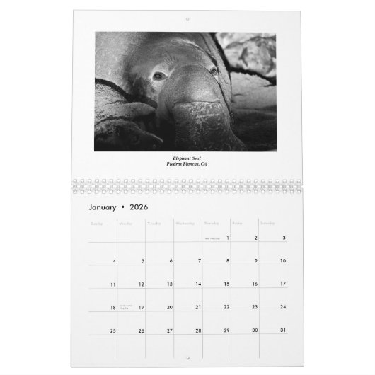 Marien leven 2011 kalender (Jan 2026)