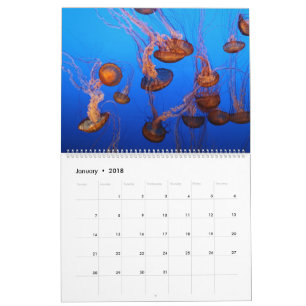 Marien leven kalender
