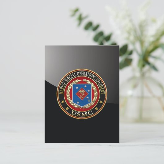 Marien speciaal operationeel programma (MSOR) [3D] (Staand voorkant)