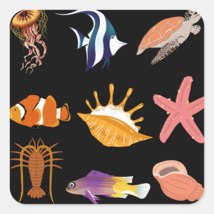 Mariene dieren: vis, schildpad, zeeschildpad, kwal vierkante sticker