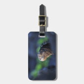 Mariene iguana Galapagos Bagagelabel (Voorkant verticaal)