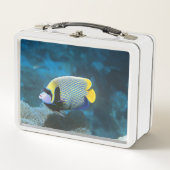 Mariene keizer Angelfish Unieke kleur (Voorkant)