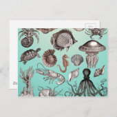 Mariene Leven Briefkaart (Voorkant / Achterkant)