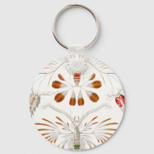 Mariene levensvormen schaaldieren, Copepoda door E Sleutelhanger