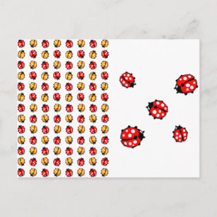 Marienkäfer Invasion Briefkaart