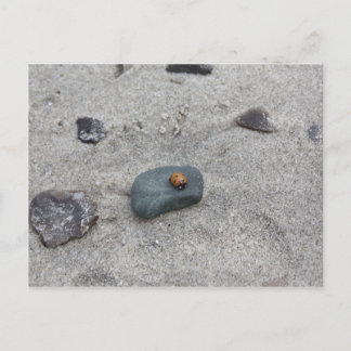 Marienkäfer Strand Briefkaart
