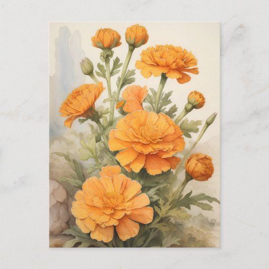 Marigold Briefkaart (Voorkant)