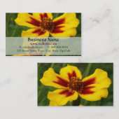 Marigold Carte de visite (Devant / Derrière)