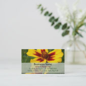 Marigold Carte de visite (Debout devant)